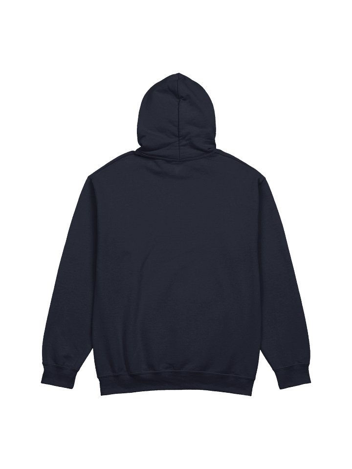 Bear & Balanced Hoodie product image (13)