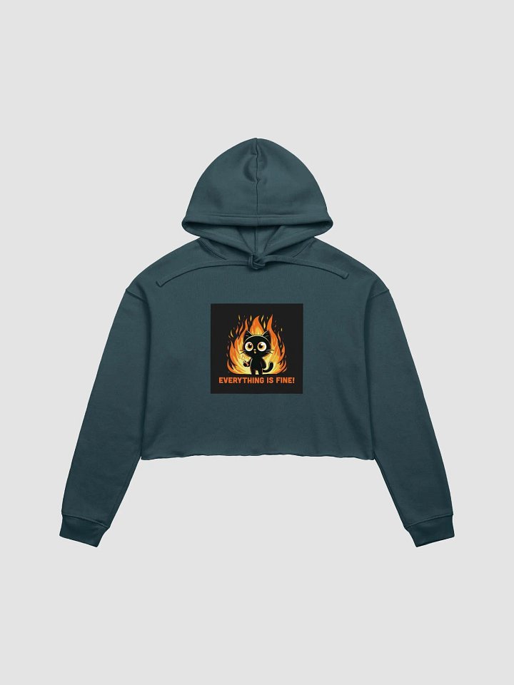 Ironic Feline Chaos in Flames Crop Hoodie product image (9)