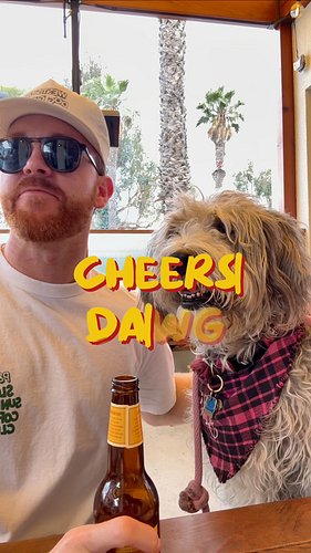 Took the gang to HomeState and it did not disappoint. 

This will be your dog's all time favorite brunch spot in DTSM. Go che...