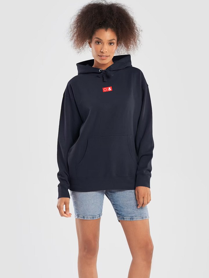 FRAME EMBROIDERED HOODIE product image (1)