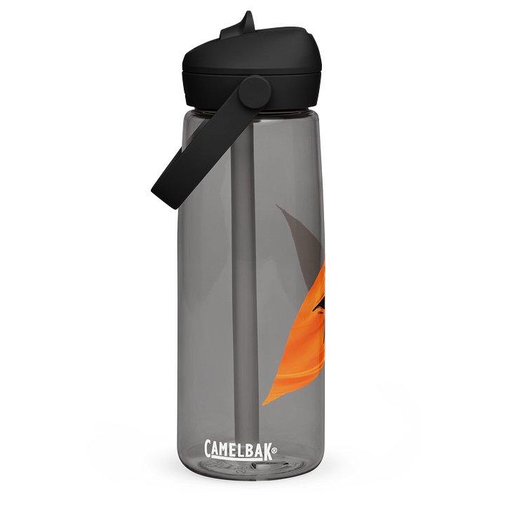 Captain's Watchful Eye product image (2)