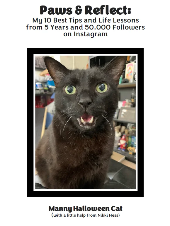 Paws & Reflect ebook product image (1)