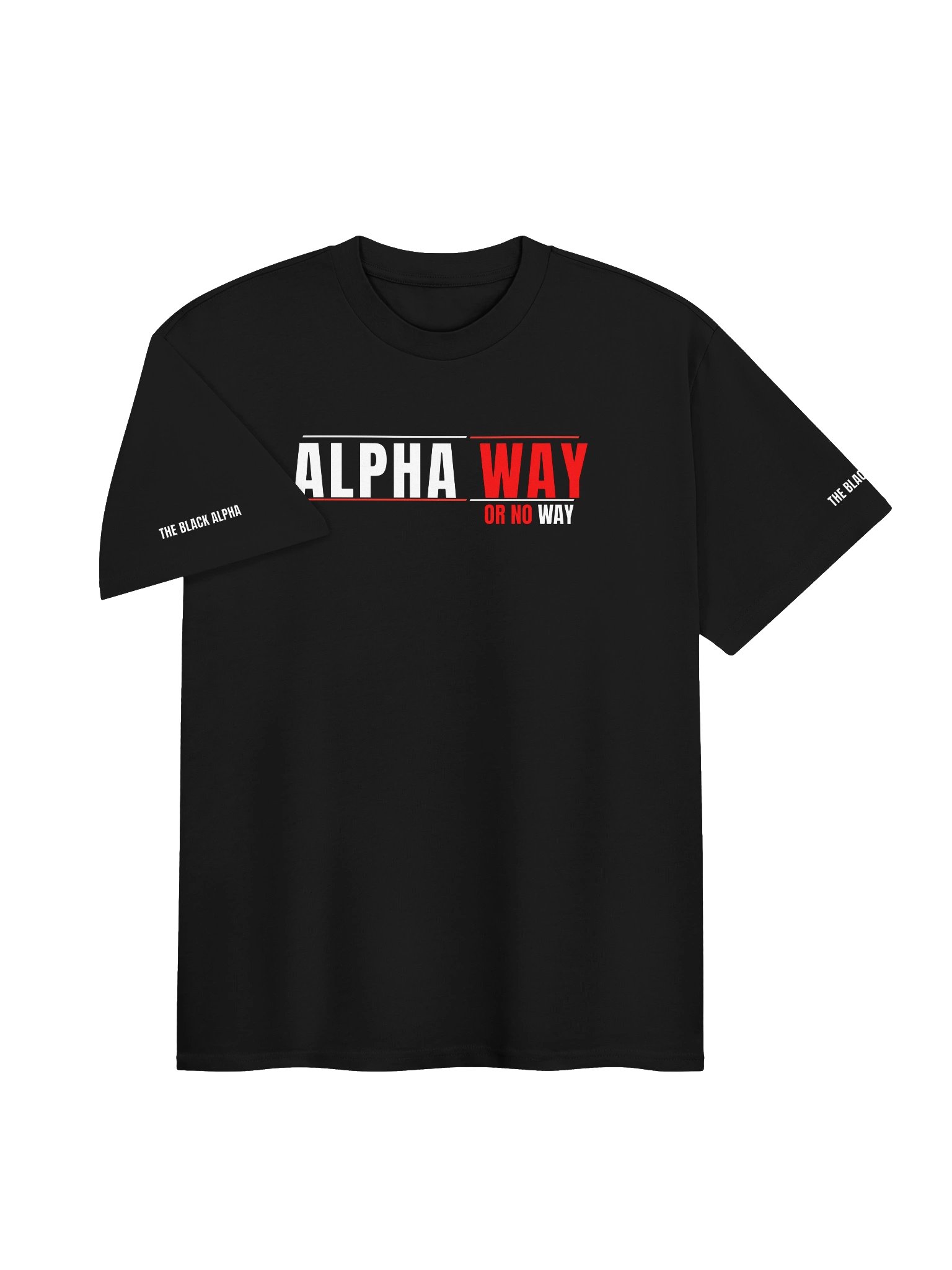 Alpha Way Heavy Tee product image (3)