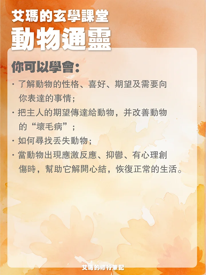 【動物通靈課】名額預約 product image (2)