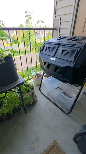 Day 28 of the Compost Challenge #30daychallenge