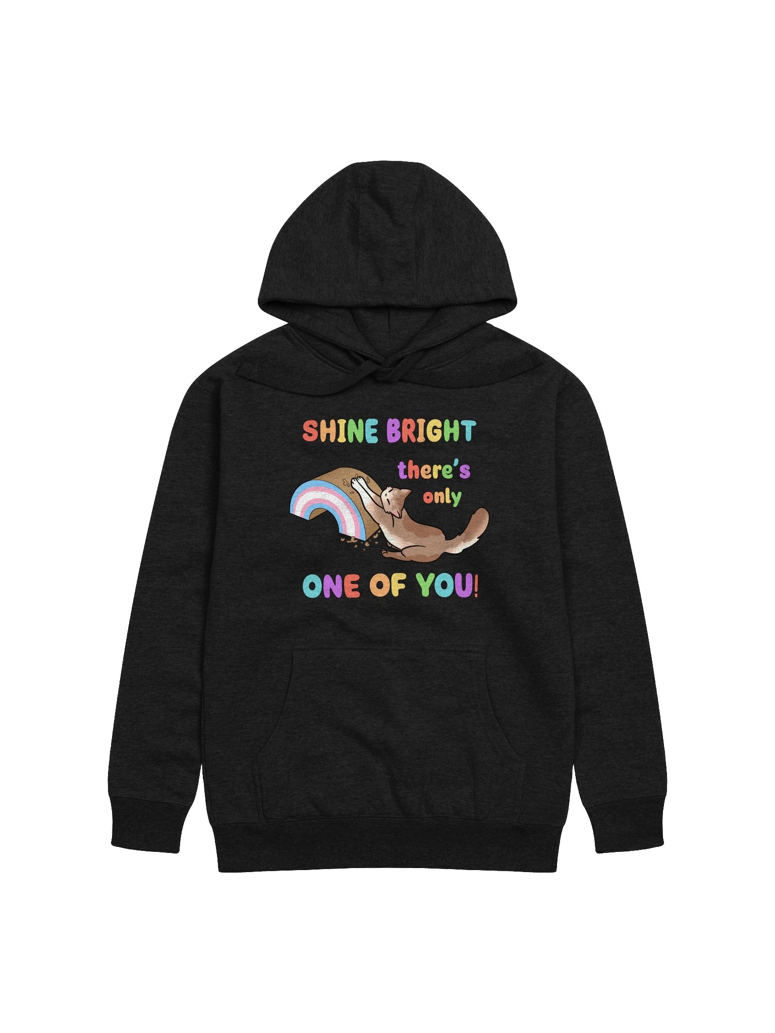 Shine Bright Trans Pride Hoodie product image (3)