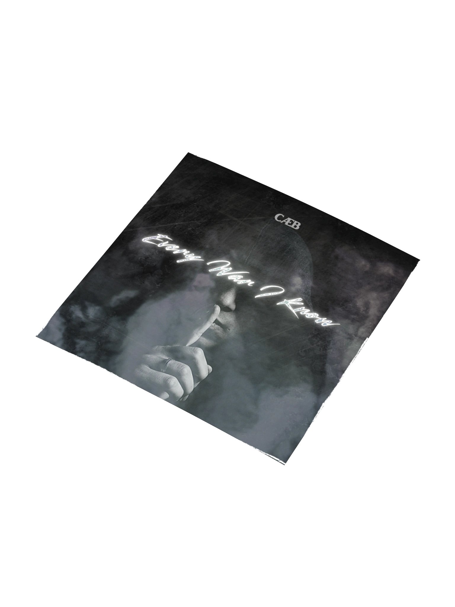 CAEB "Every War I Know" Holographic Sticker Sheet product image (7)