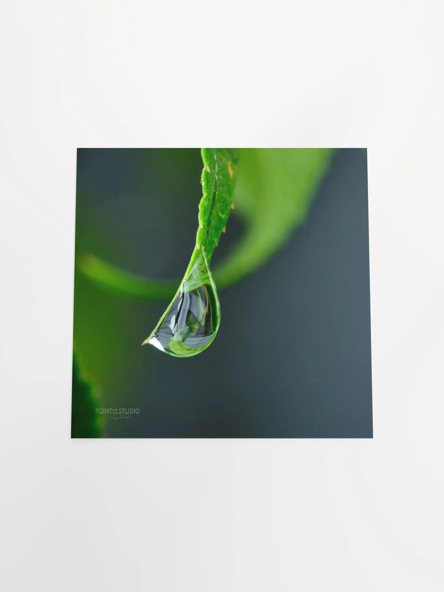 Dew Gems #4 - Print product image (12)