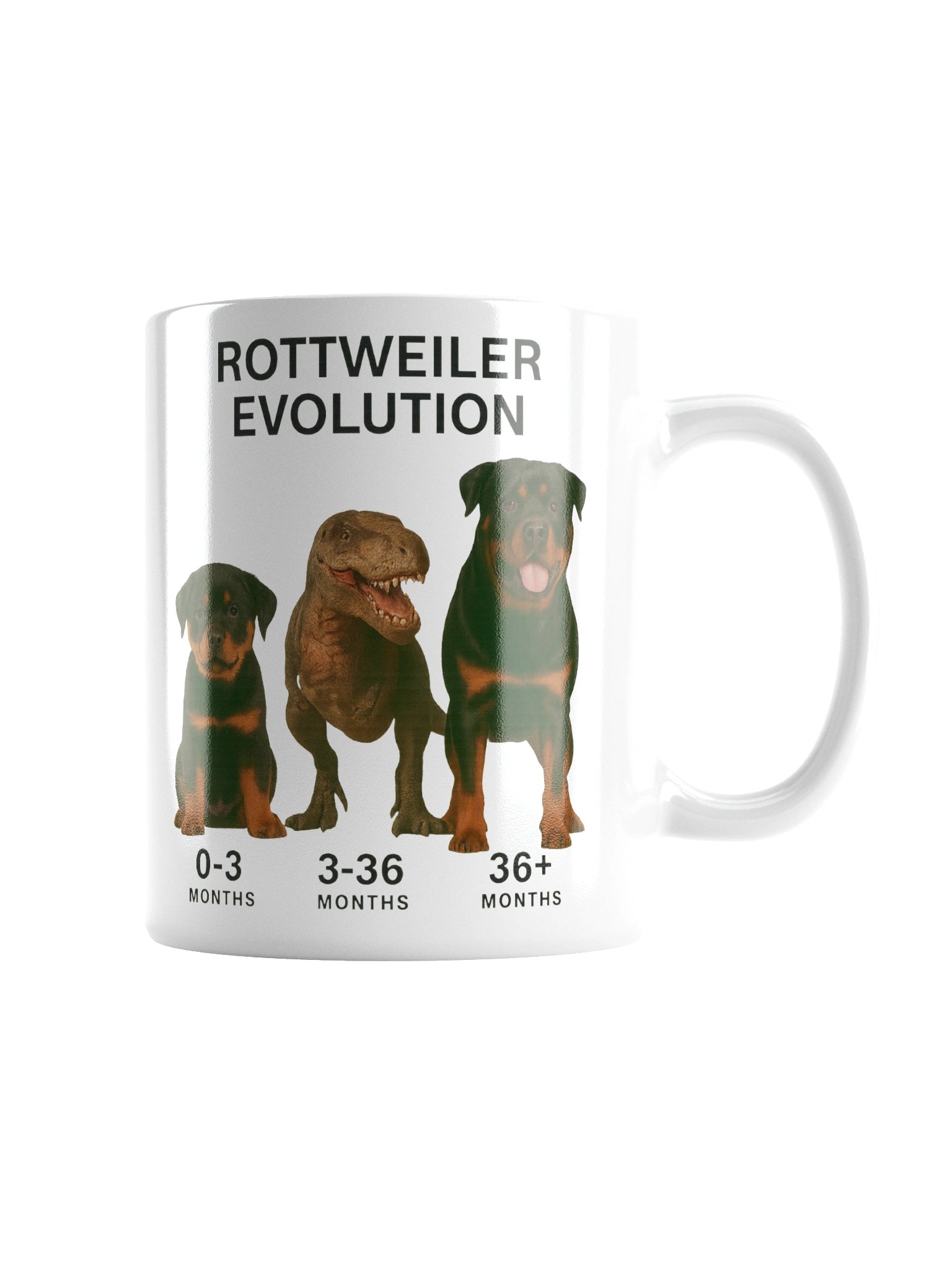 Rottweiler Evolution Mug product image (5)