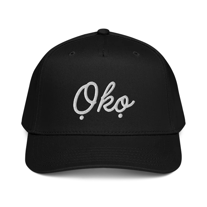 Ọkọ product image (1)