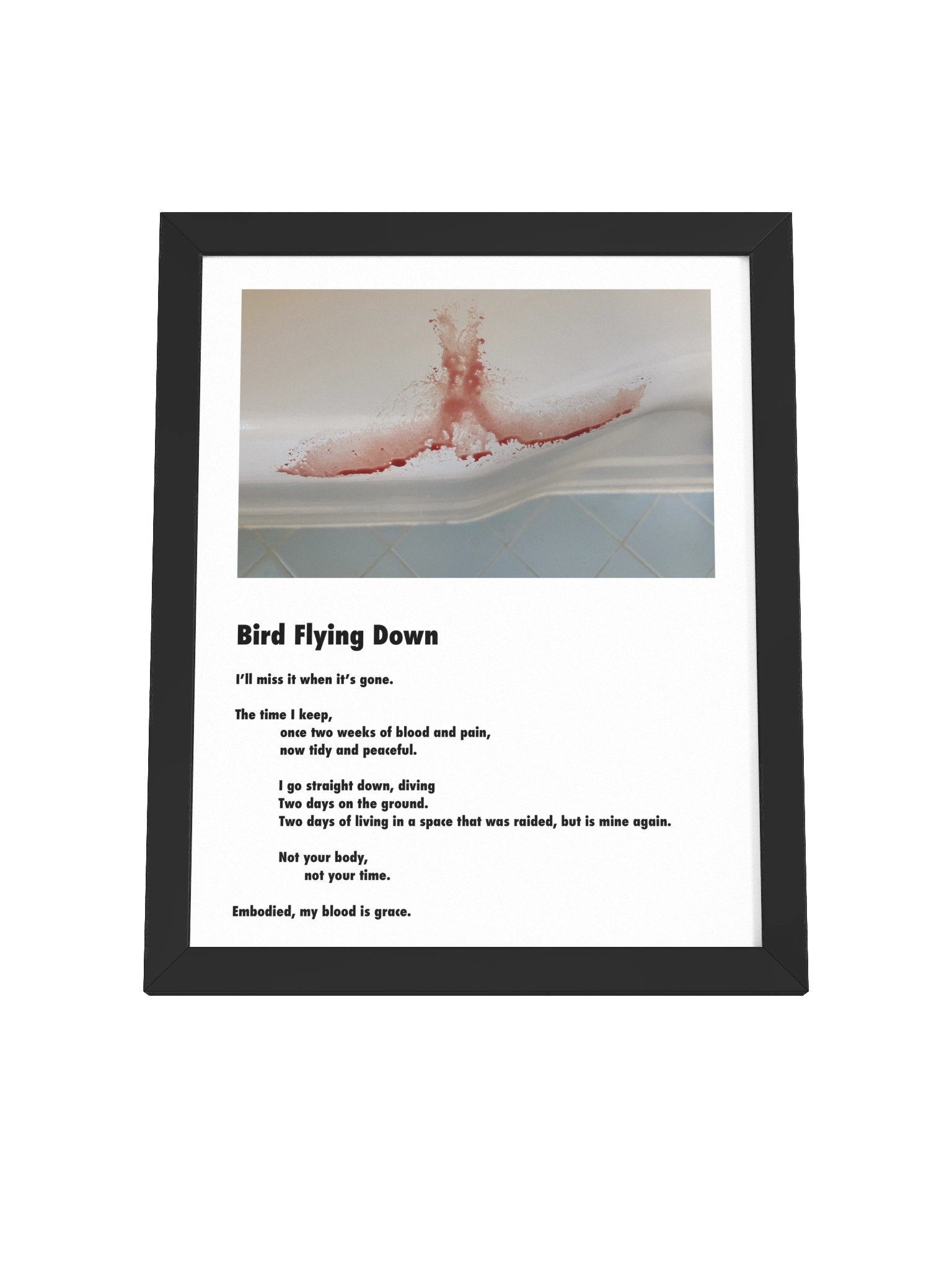 Bird Flying Down, Framed Poster product image (4)