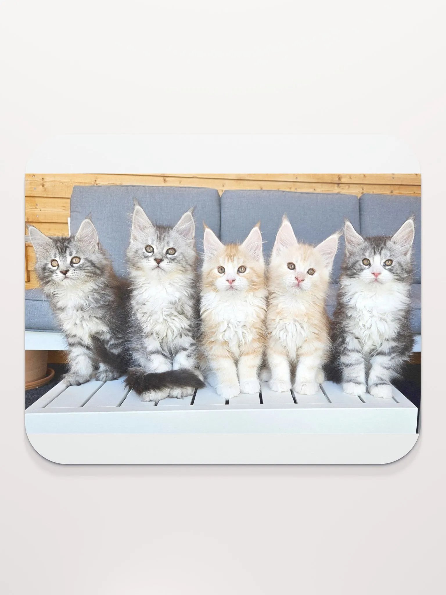 Freya's Kittens (2023) - Mouse Pad product image (2)