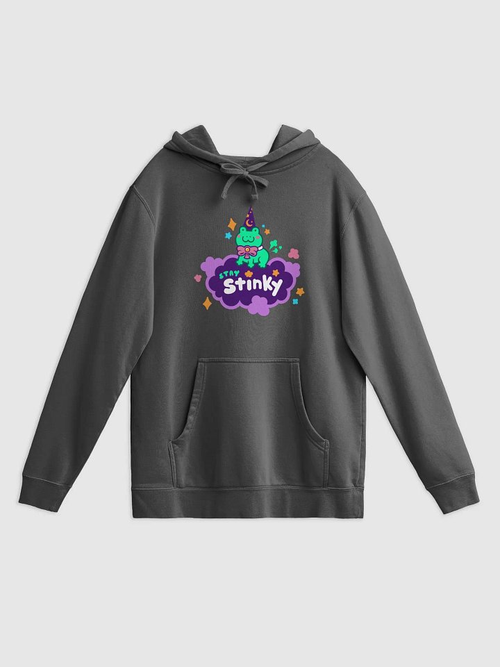 Stay Stinky Wizard Frog Hoodie product image (1)