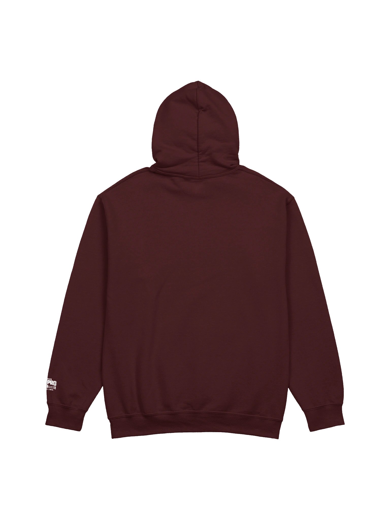 CAPW "Two Flags, One Ring" Hoodie product image (2)