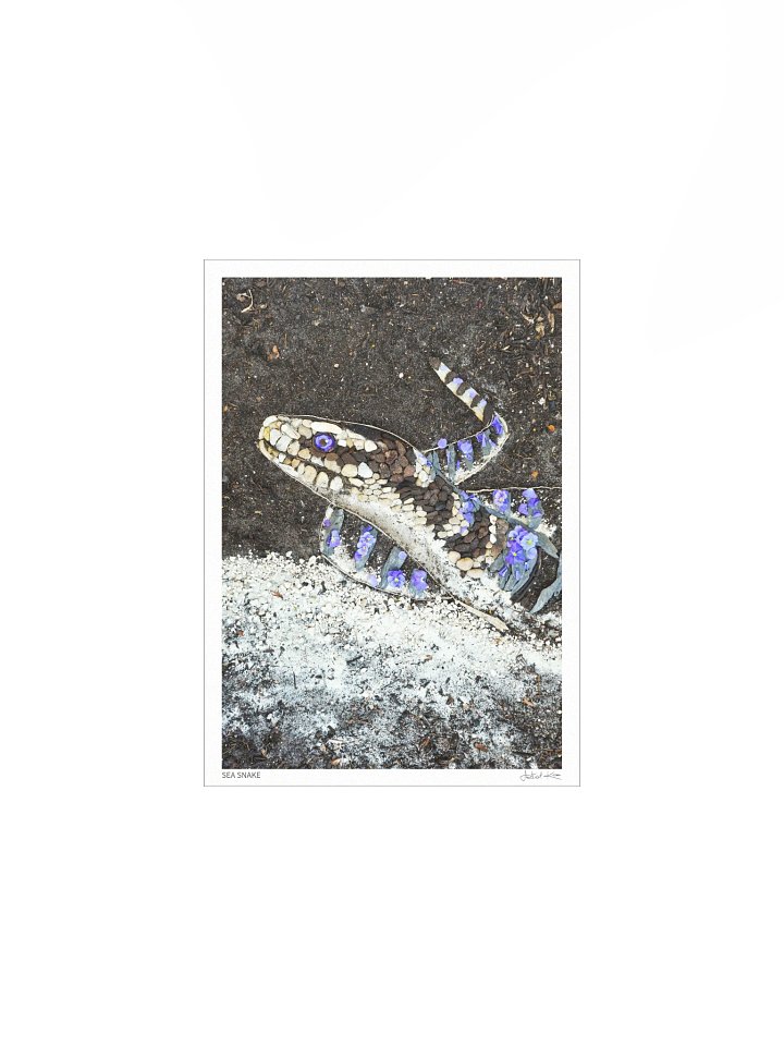 SEA SNAKE | Fine Art Print product image (2)