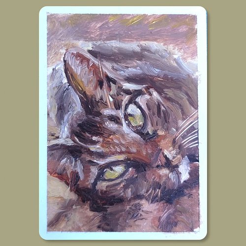 Tabby cat - oil on card, 64x89mm / 2.5x3.5in

#painting #oilpainting #art #catoftheday
