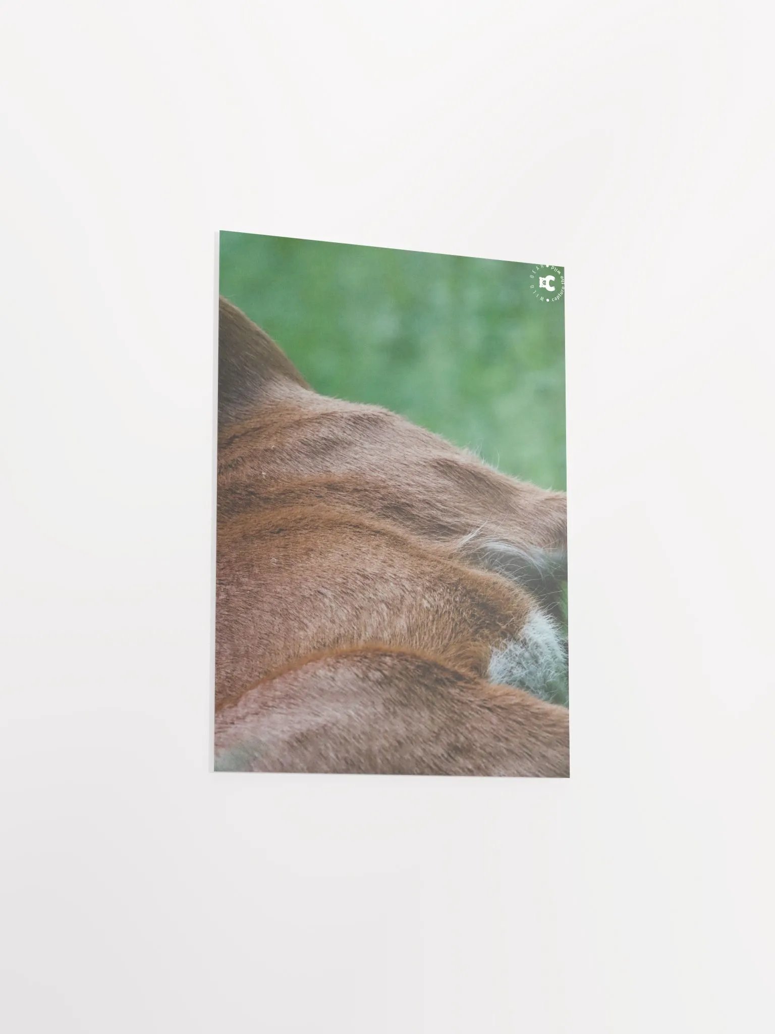 Wild Fur Print Poster product image (23)