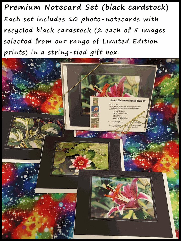 Premium Notecards on Black Cardstock product image (1)
