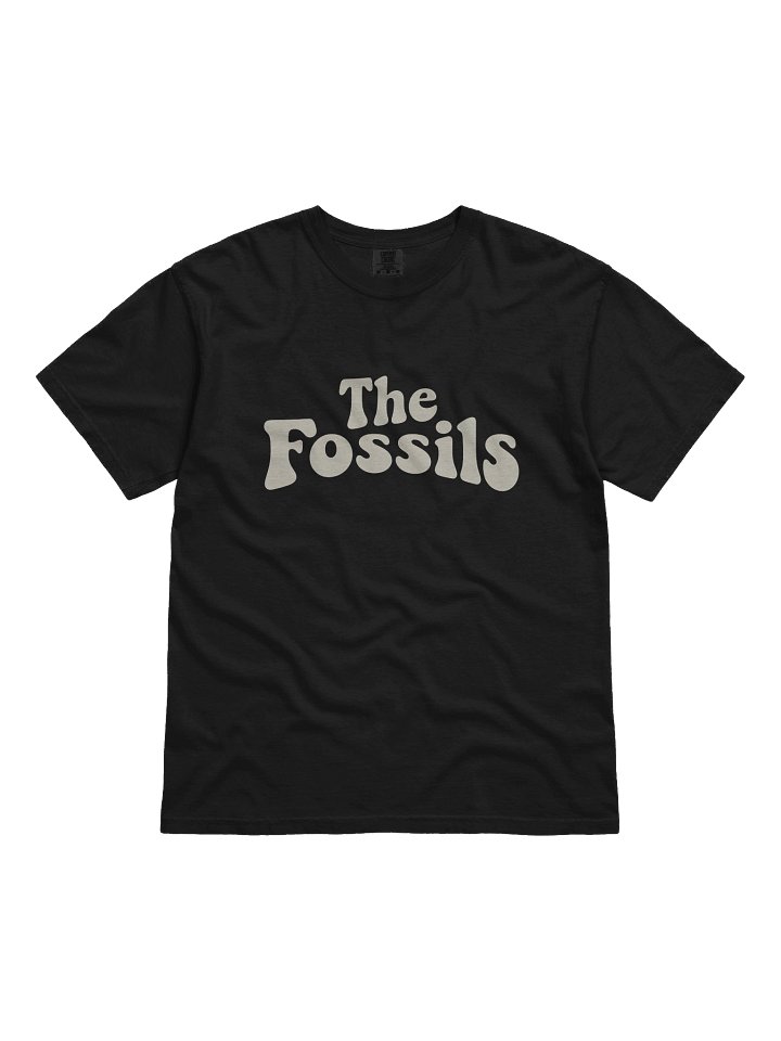 The Fossils Vintage Tee product image (1)