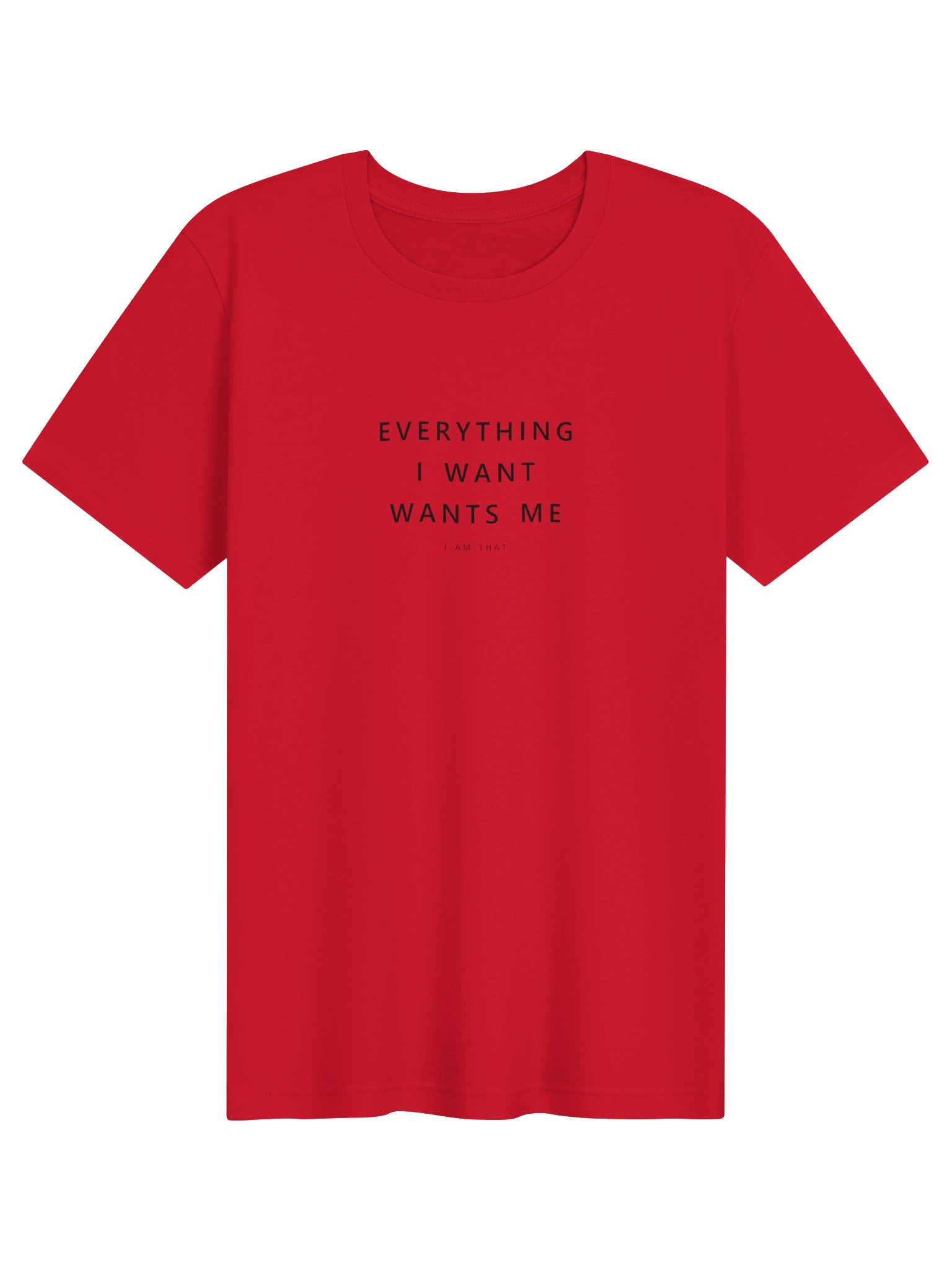 Everything I Want Wants Me Tee product image (85)