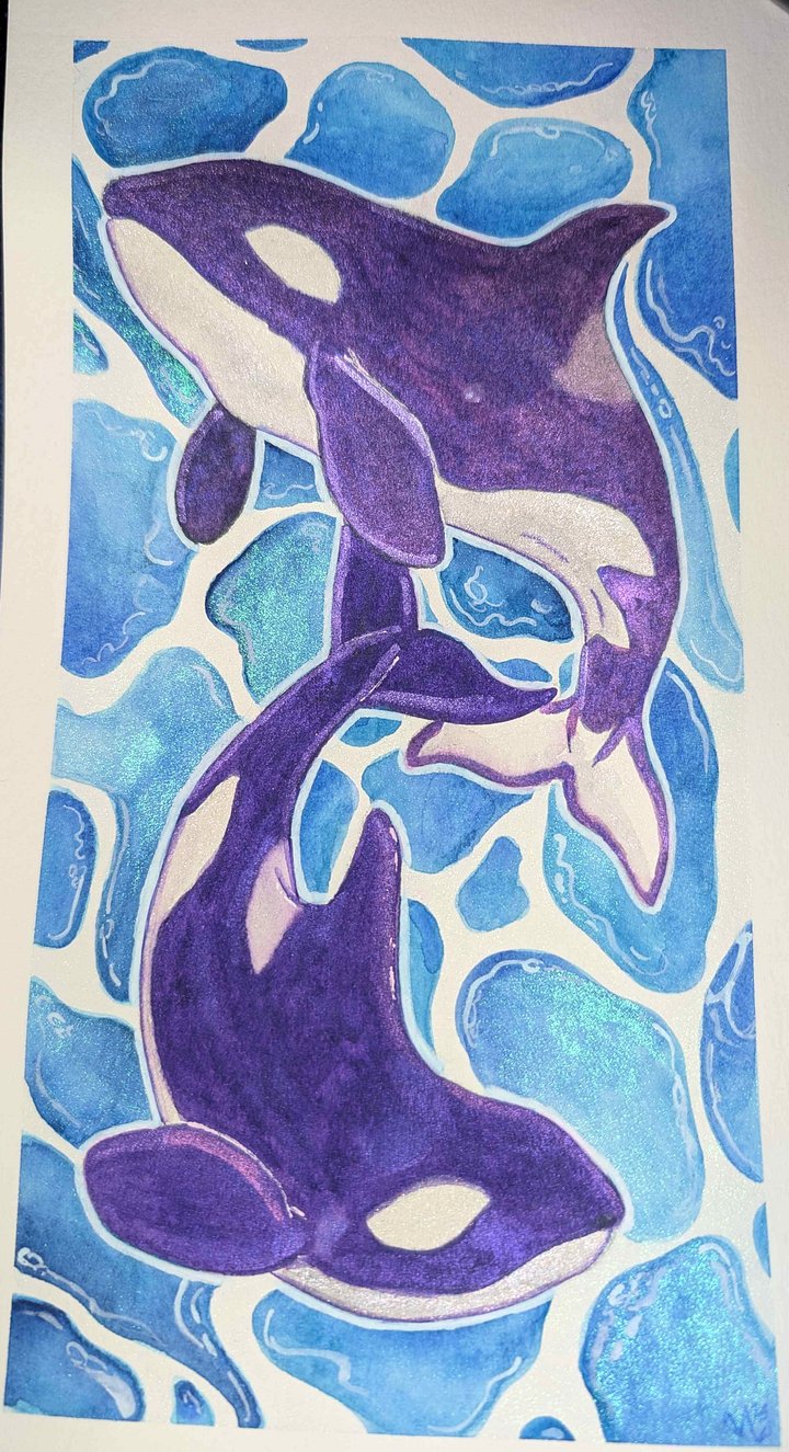Purple Orca Pair product image (1)