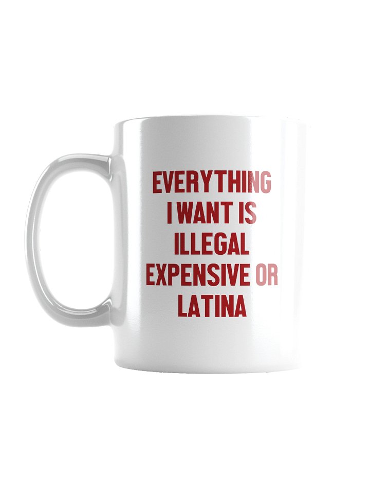 Everything I Want Is Illegal Expensive or Latina Funny Sarcastic Mug product image (1)
