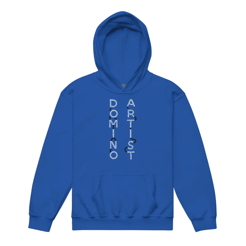Domino Artist Hoodie (Youth) product image (2)