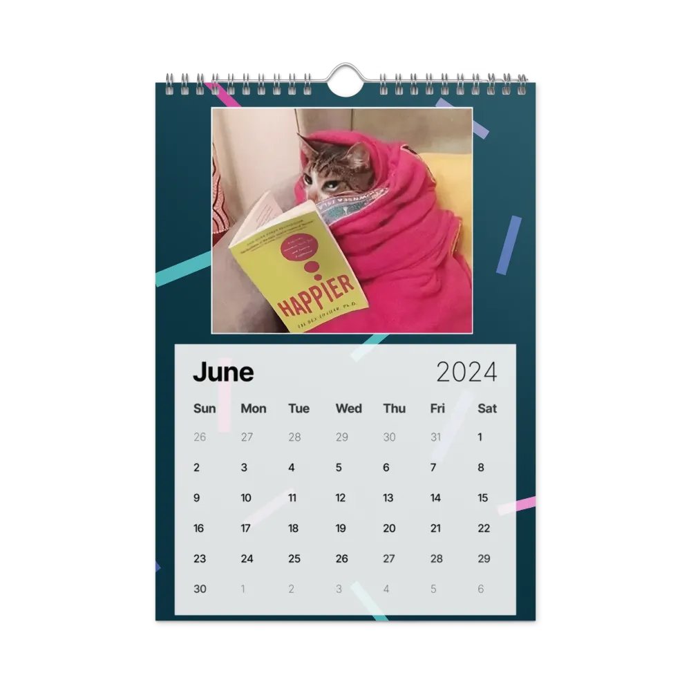 Wall Calendar (2024): Meme Cats product image (12)