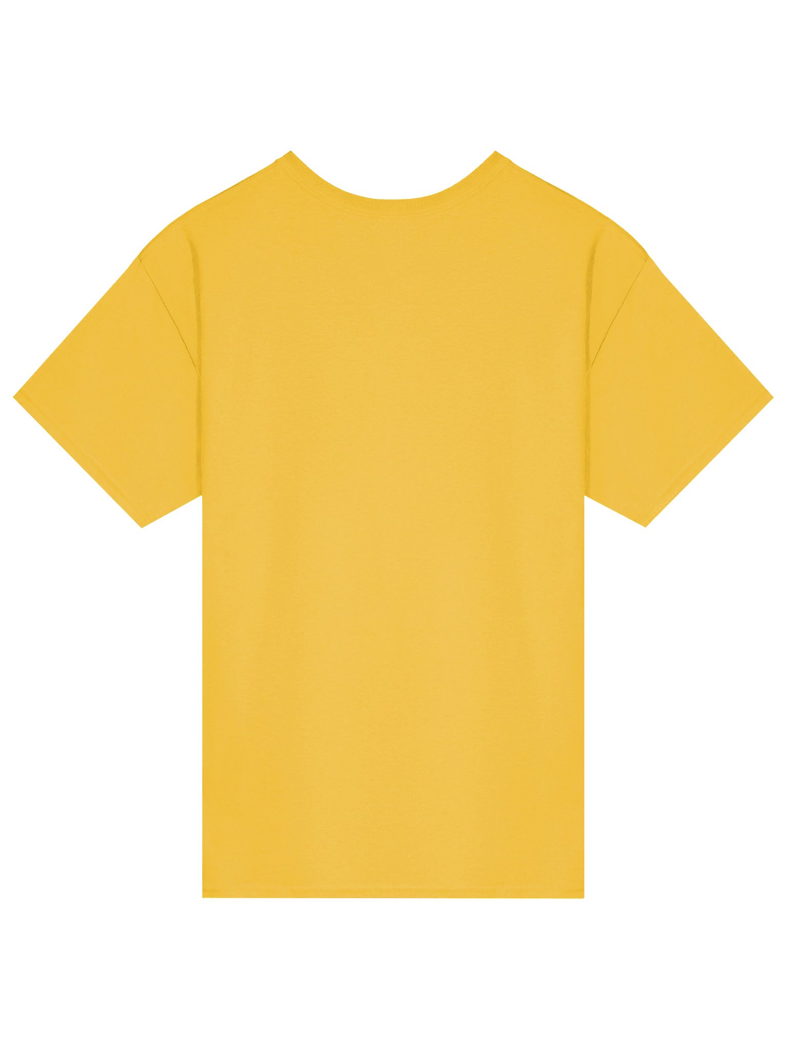 POLITICAL IDENTITY (LGBTQ - light) - T-SHIRT product image (74)