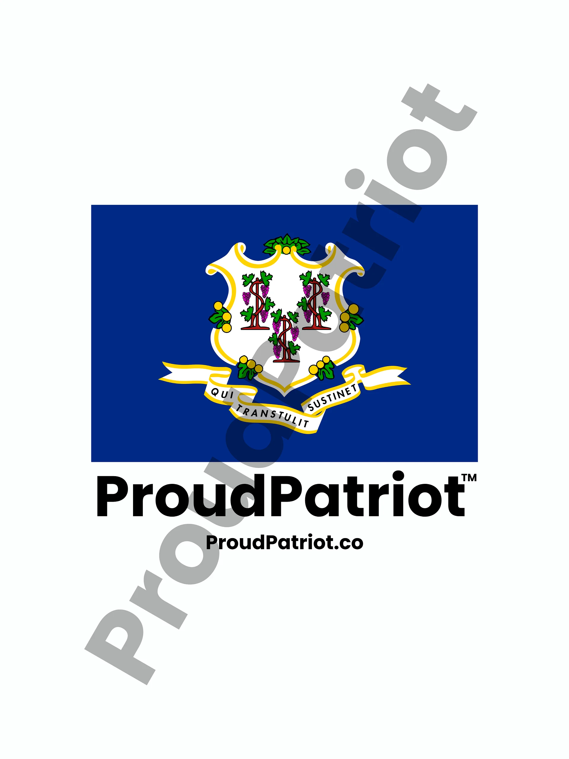 Connecticut Proud Screensaver product image (1)