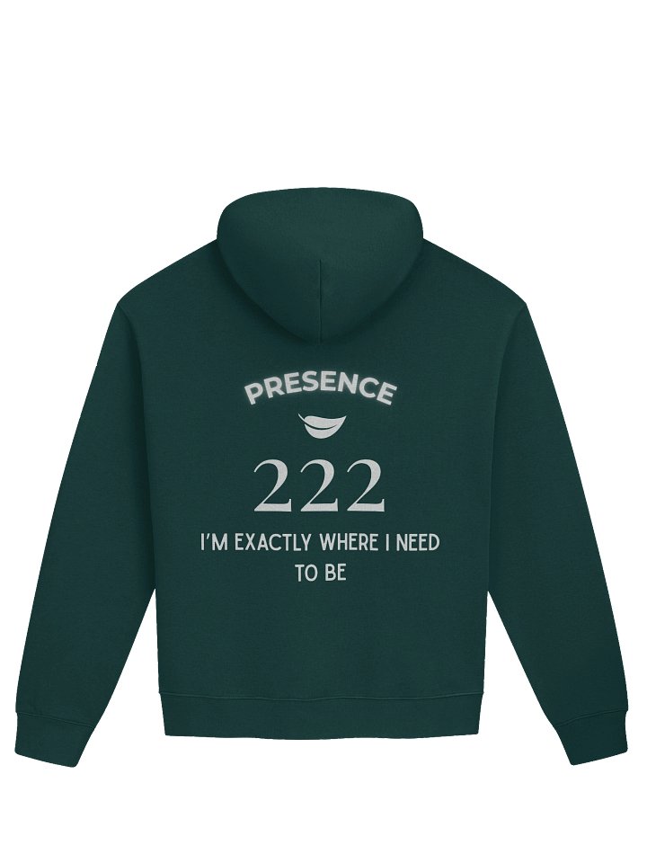 Unisex Premium Oversized Hoodie - 222 — I am exactly where I need to be product image (5)