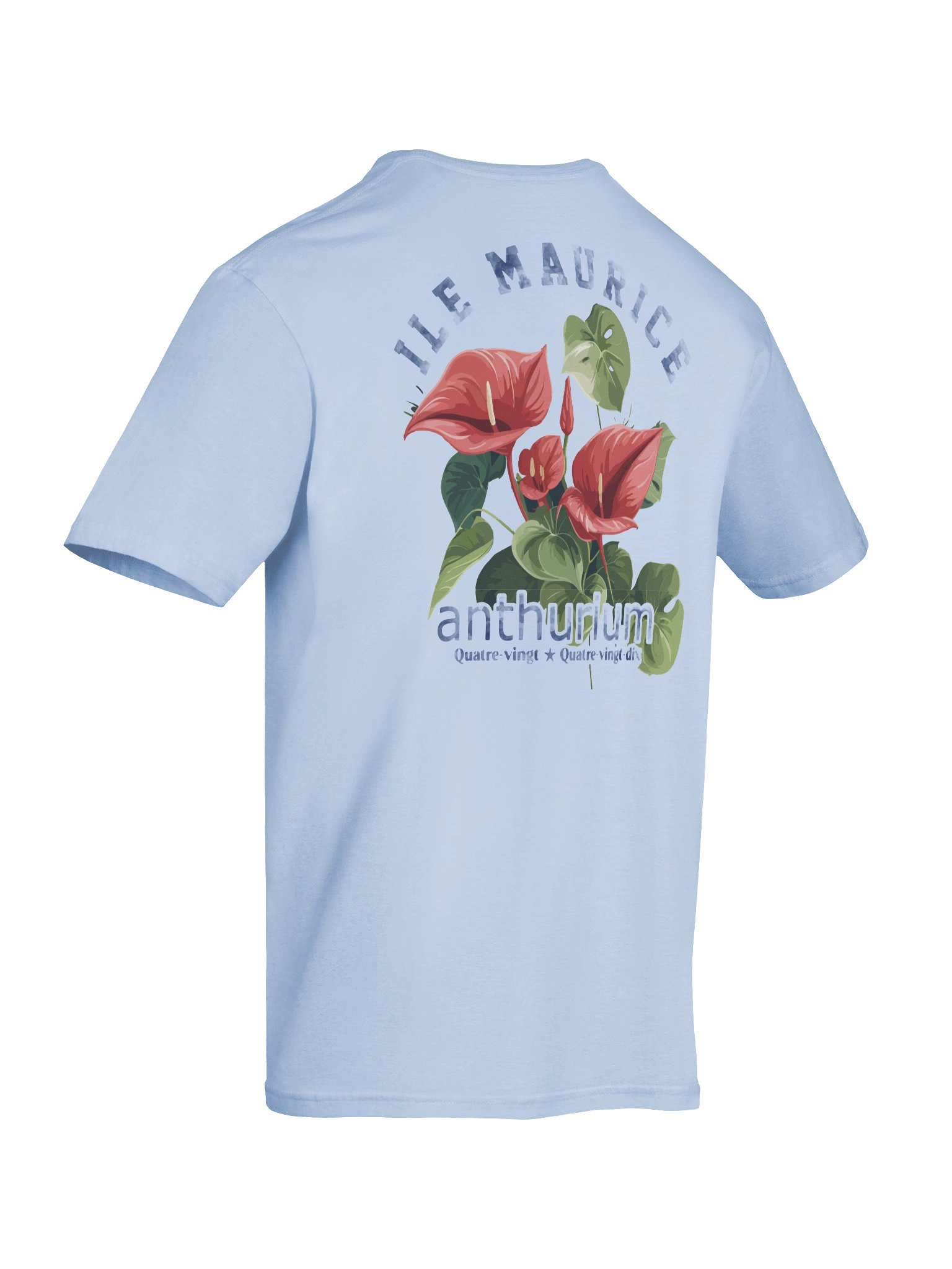 Anthurium 90s –Mauritius product image (8)