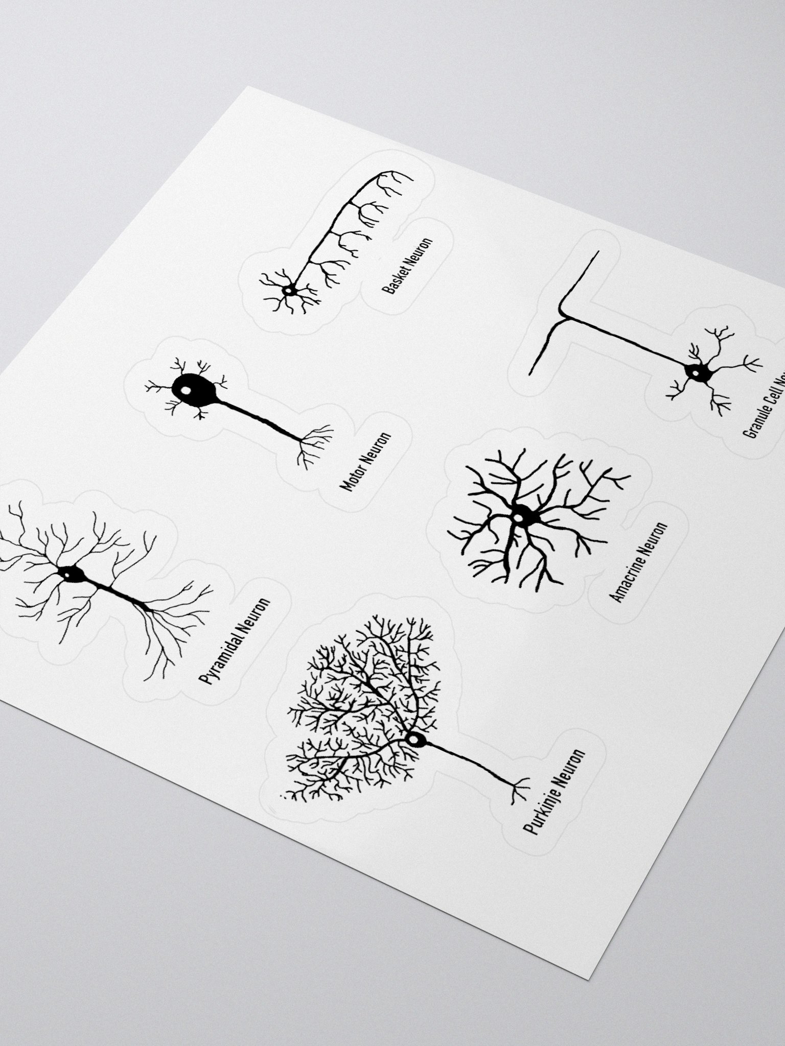 Types Of Neurons Kiss Cut Sticker product image (5)