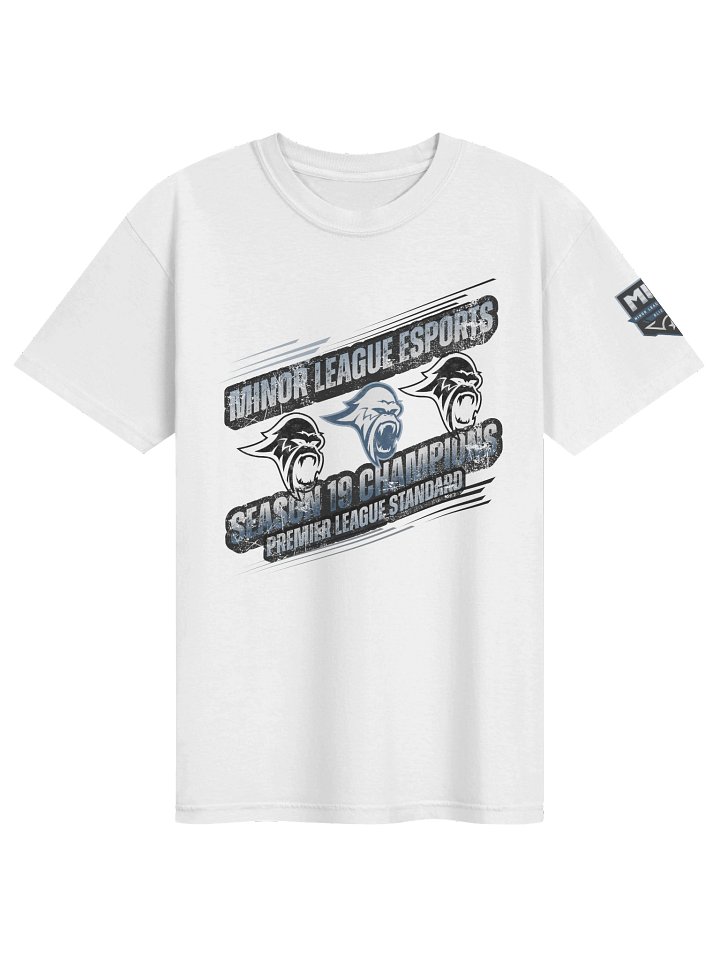 Blizzard Season 19 Champions T-Shirt product image (7)
