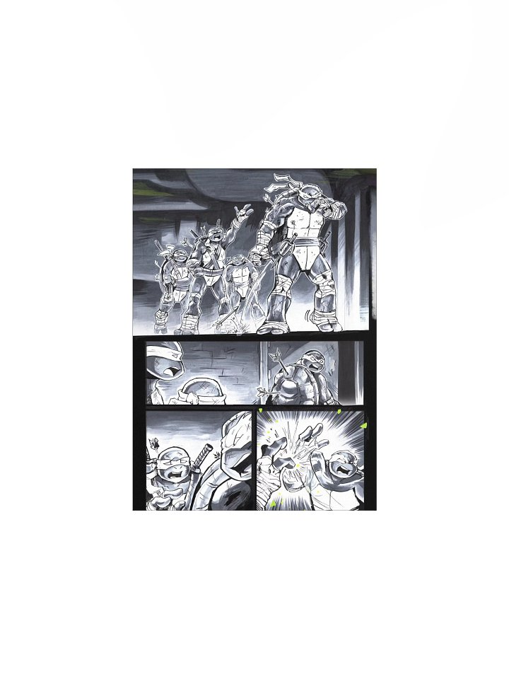 Teenage Mutant Ninja Turtles GREEN WHITE AND BLACK PAGE 1 POSTER product image (4)