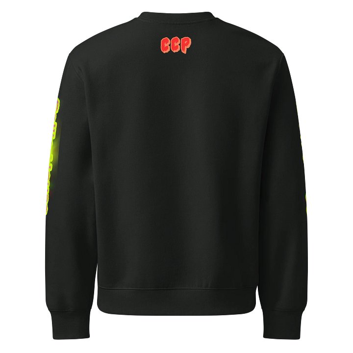 Sallie House | SWEATSHIRT product image (2)