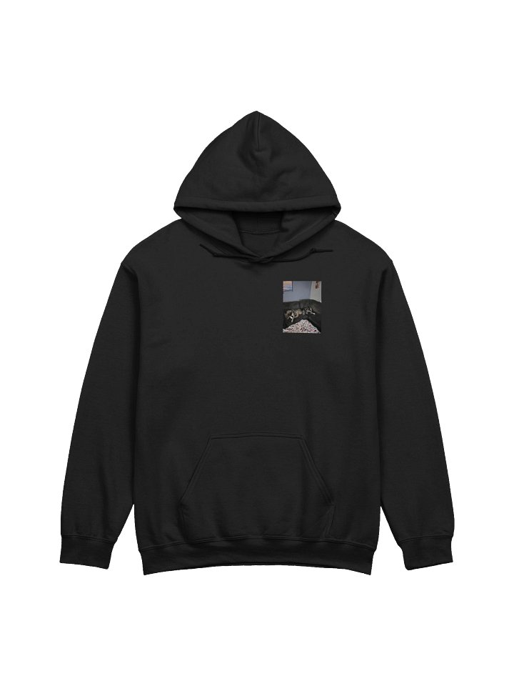 Long Live Sky and Layla Hoodie product image (1)