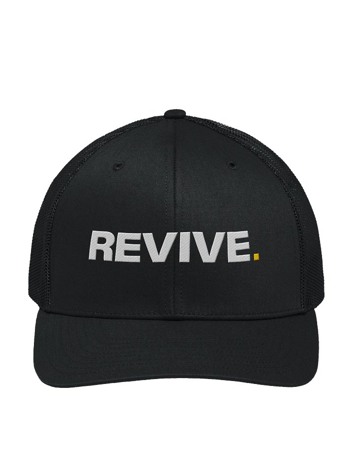 Revive Snapback product image (1)
