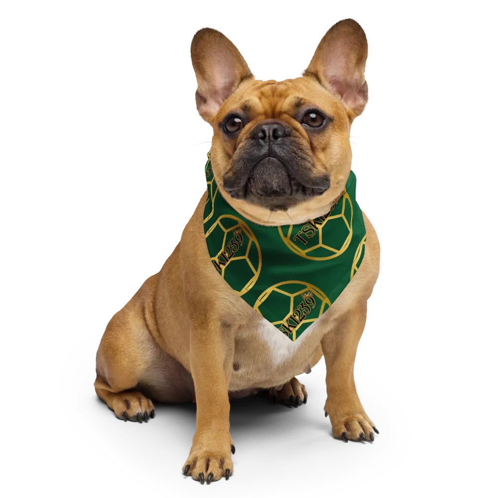 TSK1239 Logo Bandana product image (6)