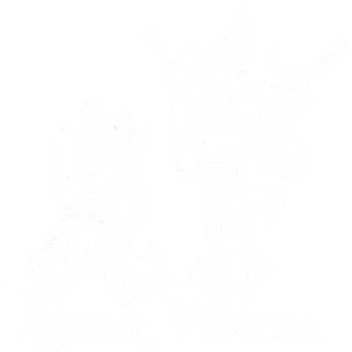 Artistik Passionz