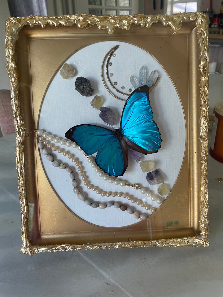 Butterfly- Morpho product image (2)
