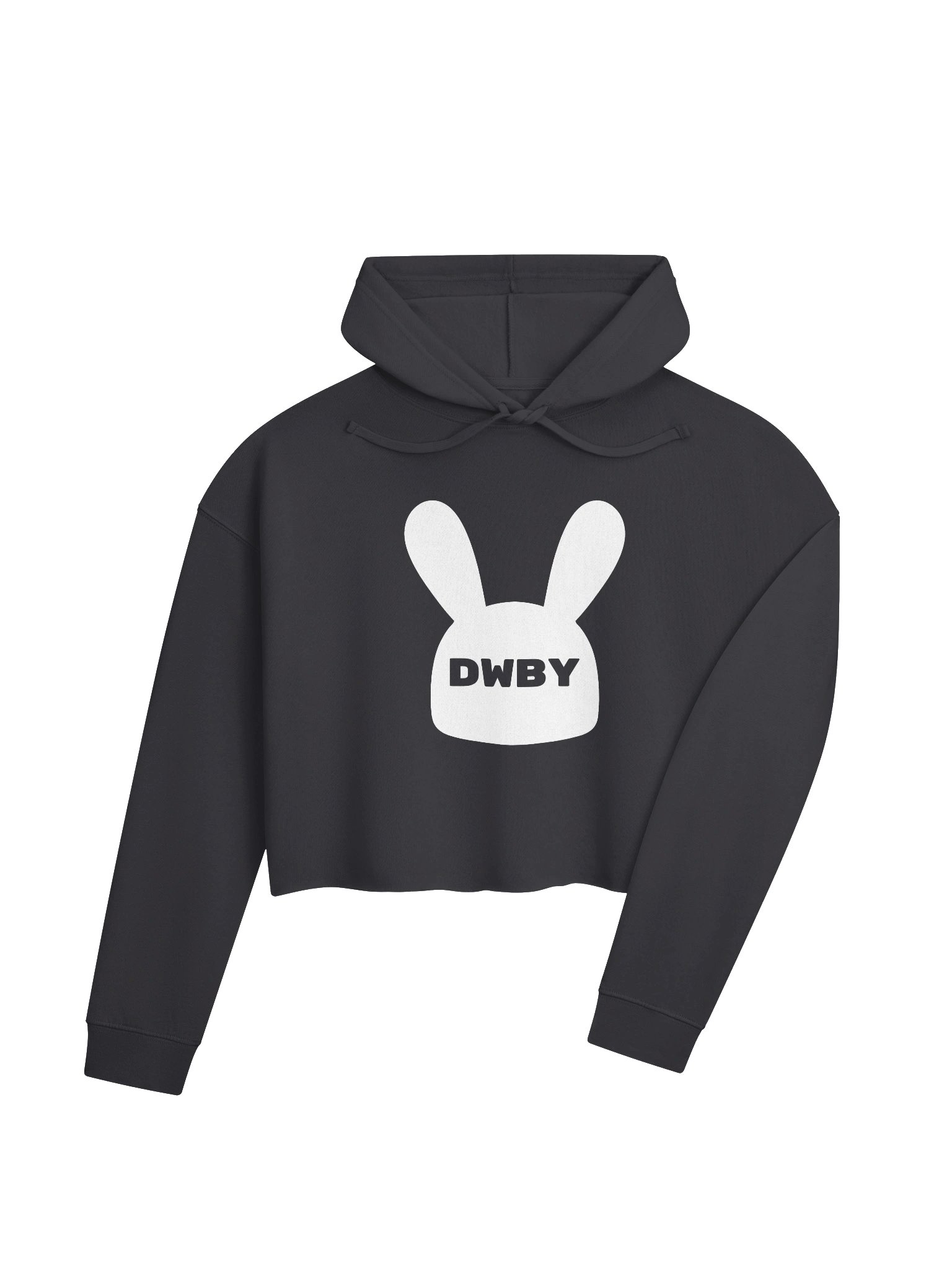 DWBY Cropped Hoodie product image (4)