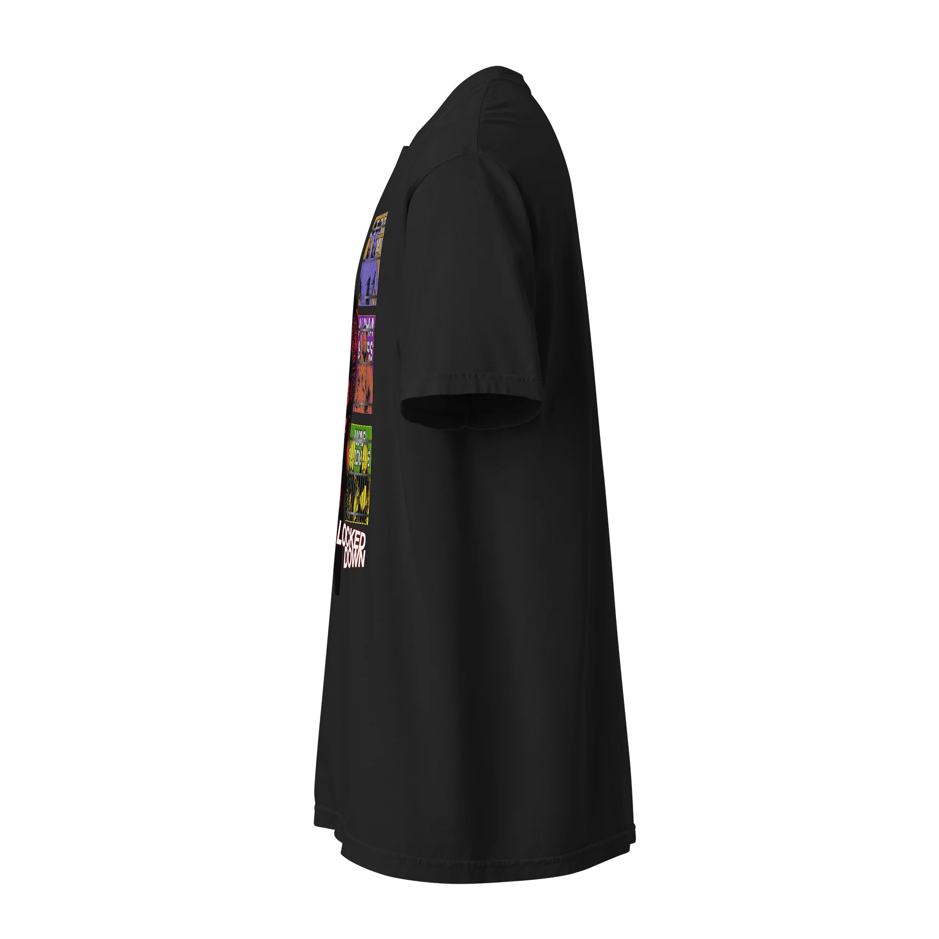 Locked Down product image (2)