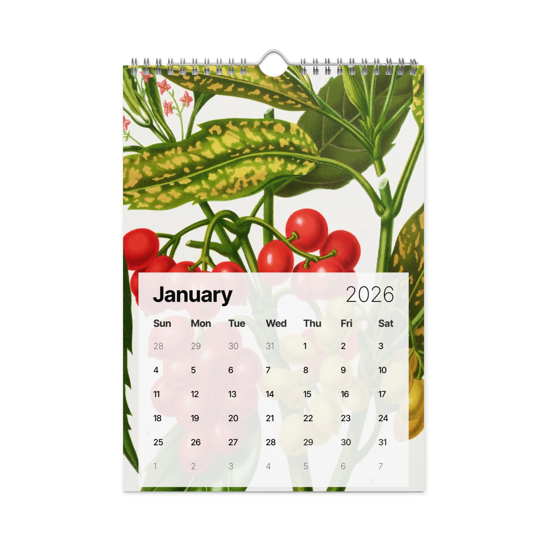 DK 2026 Wall Calendar product image (2)