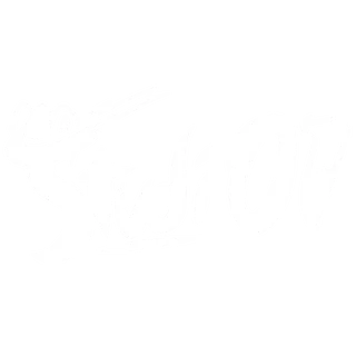 Studi