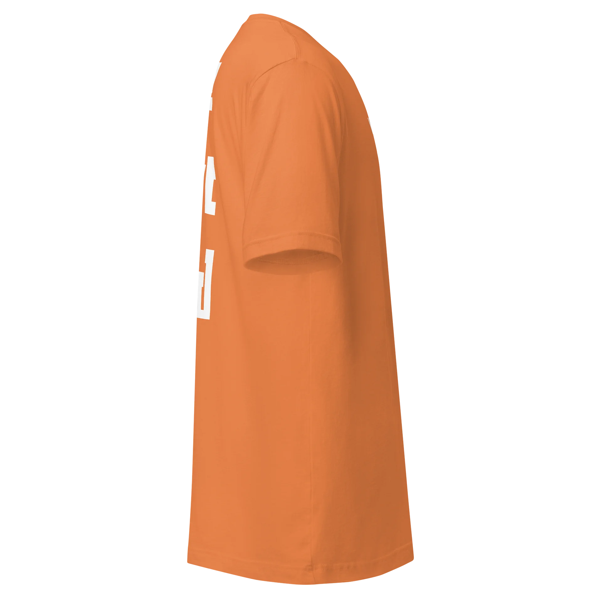 WeOwtsyd Gen 2 Premium T-Shirt - Alt Burnt Orange product image (3)