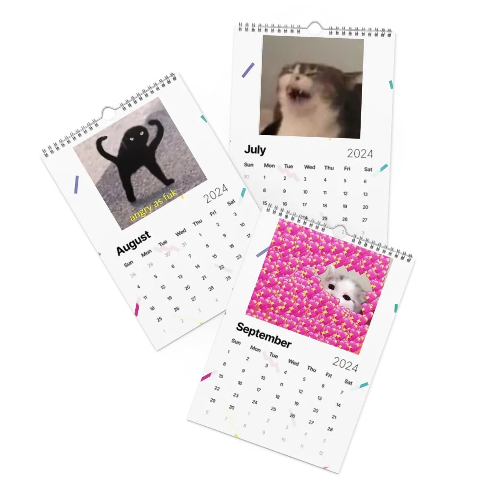 Wall Calendar (2024): Meme Cats product image (11)