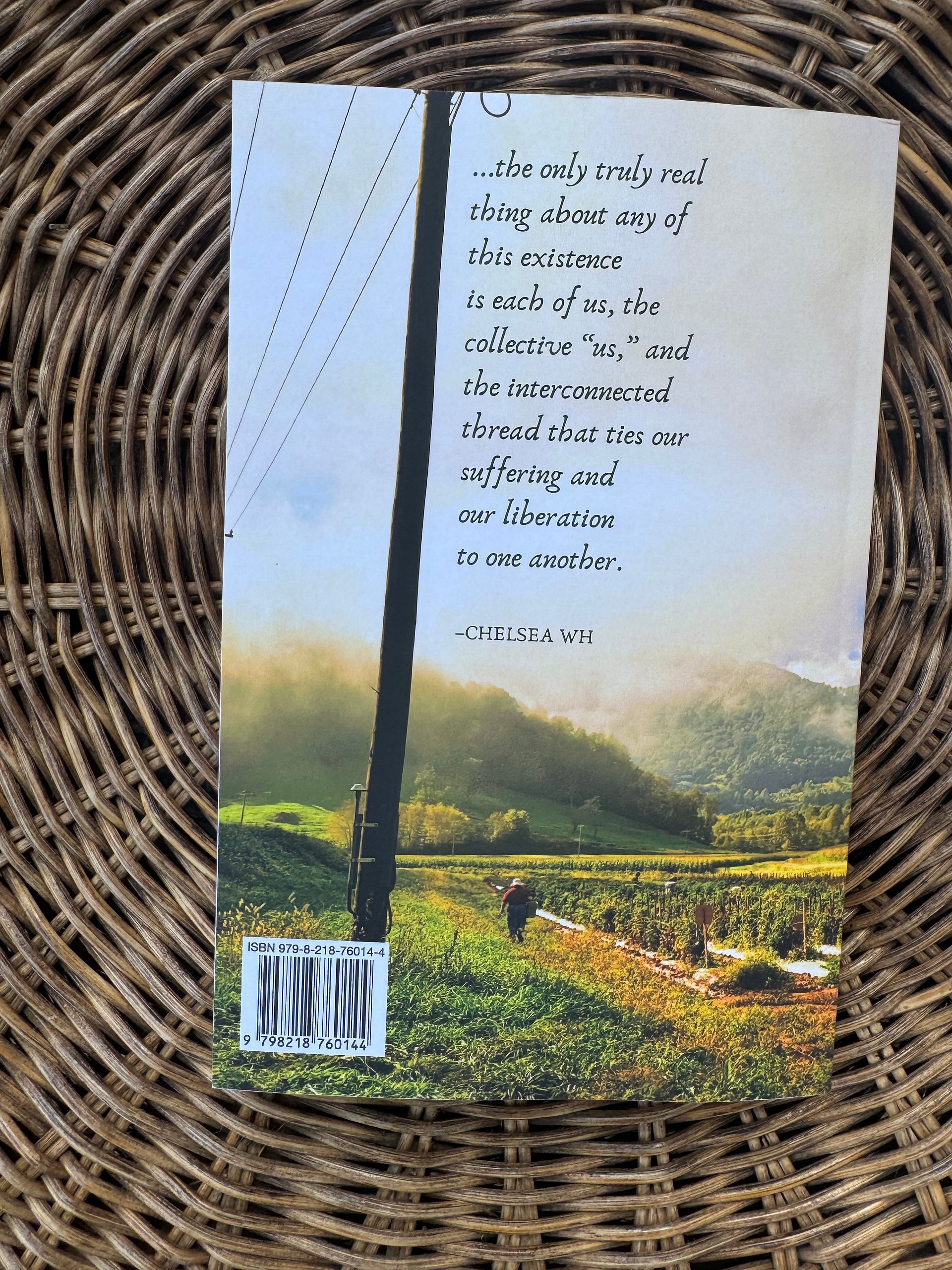 From the Holler to the Sea Anthology product image (2)