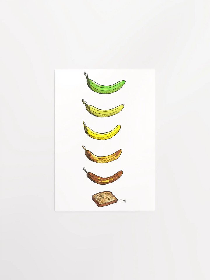 Life Cycle Of A Banana product image (1)