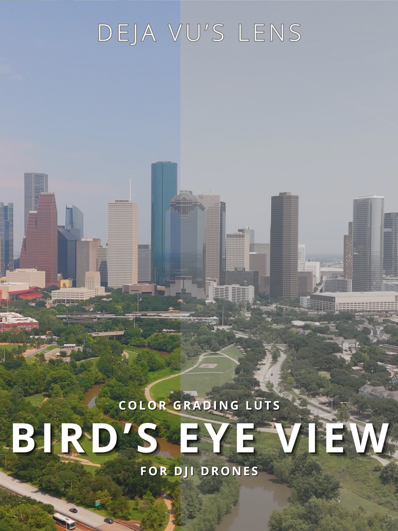 BIRD'S EYE VIEW product image (1)
